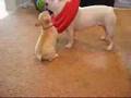 Tug of war