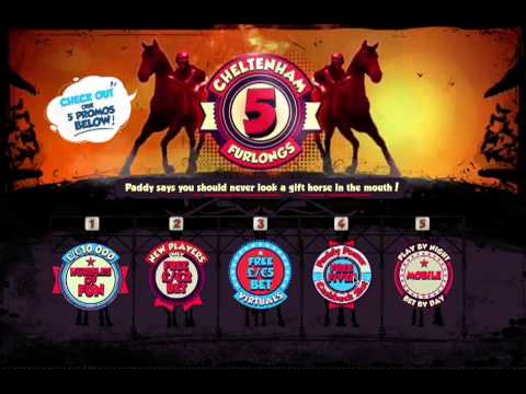 paddy power cheltenham