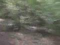 videos de L'Ultimo Casaccio (parte 1)