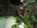 xxmyfishtankxx