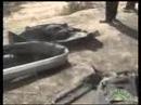 ماتوا حرقا في حادث أليم - ليبيا / طرابلس / طريق المطار 9 قتلى اصطدام بين 8 سيارات سائقين ركوبة عامة صغار في السن متهورين