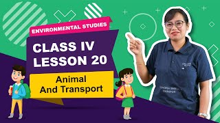 Lesson 20 - Animal & Transport