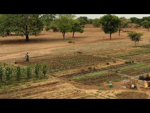 Image de prévisualisation YouTube