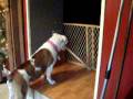 videos de Daisy & Travis