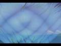 videos de My Technological Canvas