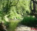 Kalami Viannou Video 2 Kalami Viannou Video 2