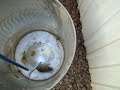 a better Rat Trap
