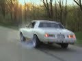1978 Monte Carlo bakin tire