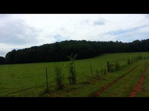174 acres Talladega, AL