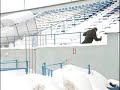 динамо вологда феил