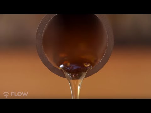 Flow Hive Video: Jordan Winery Chef’s Beekeeping Experiment Begins for Estate Honey