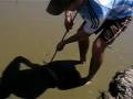 caza de carpas con arpon  parte 4