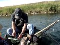 Fall Fishing The Bow River Fall Fishing The Bow River