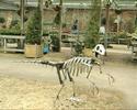 Metal Sculpture - Daren Greenhow