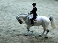 K�r \"Potkali se na opr�cku,aneb rodeov� prvky v drezu?e\"