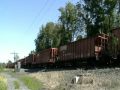 Quarry Switching on the Turkey Path- May 21, 2009