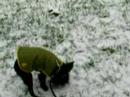 Briela's 1st Snowfall #2