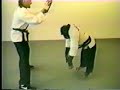 monkey martial arts