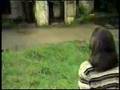 prinsesa - teeth