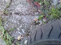 Bridgestone Battlax TH01 - defective Bridgestone Battlax TH01 - defective