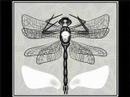 dragonfly number 1