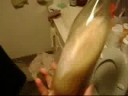 Special Bottle Splosions Special Bottle Splosions
