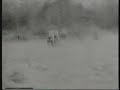 British Army LSD Test