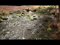 Paulina Spring -- Head of the Creek. Начало реки (polozov 198)