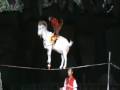 AWESOME Circus trick!! (Трюк с козой НЕВЕРОЯТНО)