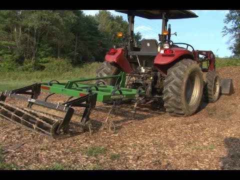 how to control quackgrass in a lawn