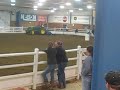 Robin Belfield & Lucky @ Kirkwood