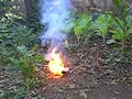 smoke bomb/bomba de fuma�a