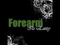 Forearm - Its Entity