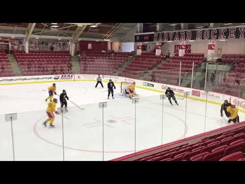 Harvard Camp 2022 #19 Yellow