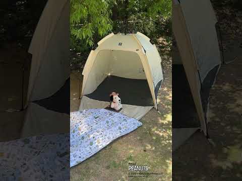CAMP with SNOOPYシリーズ