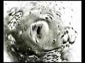 COSTANZA (Tricky's Vocalist) : DESIRE