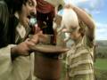 videos de Comercial Del Valle