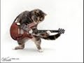 Albert and Frank - New Theme Tune Albert and Frank - New Theme Tune