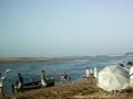 abdou