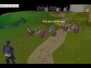 Runescape Turkey Dance p2