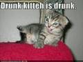 BIGGEST,BESTEST,LOLCAT,MONTAGE EVA!!!1!!1 Jesus: Just Gr8!