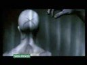 Tool- Schism