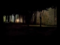 Thumbnail #1
