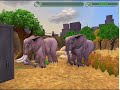ZT2 - Helmond National Zoo (END YEAR 1)