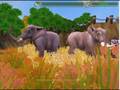 ZT2 - Helmond National Zoo (END YEAR 1)