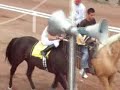 EL APACHE VS EL TERRORISTA 27 DE MAYO
