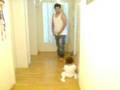 Arlind @ Gaildorf nD Elvis von Aldin