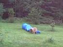 Jessie runs agility course