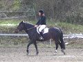 concours rampignon