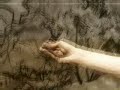 petrovaradinska tvrdjava art - Student Film